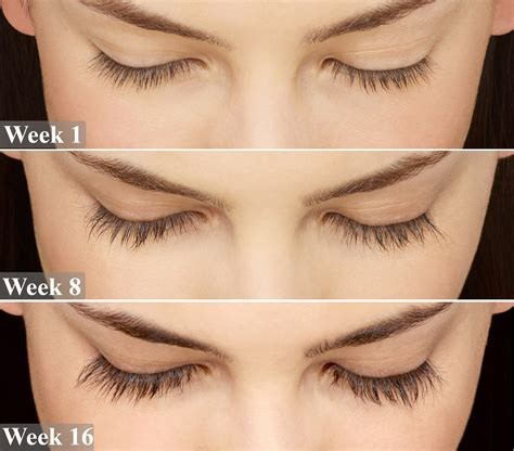 Eyelash Eyebrow Growth Enhancer